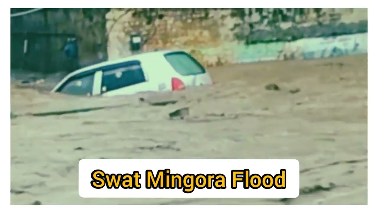 Swat Mingora Selab | Heavy flood 2022 #flood #2022 #swatselab #swat #swatpakistan