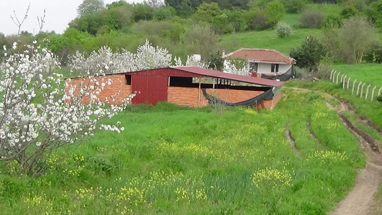 Yer SATILDI.Meyve Bahçesi.Hayvancılık için Uygun.Çiftlik Evi.Manyas Boğazpınar
