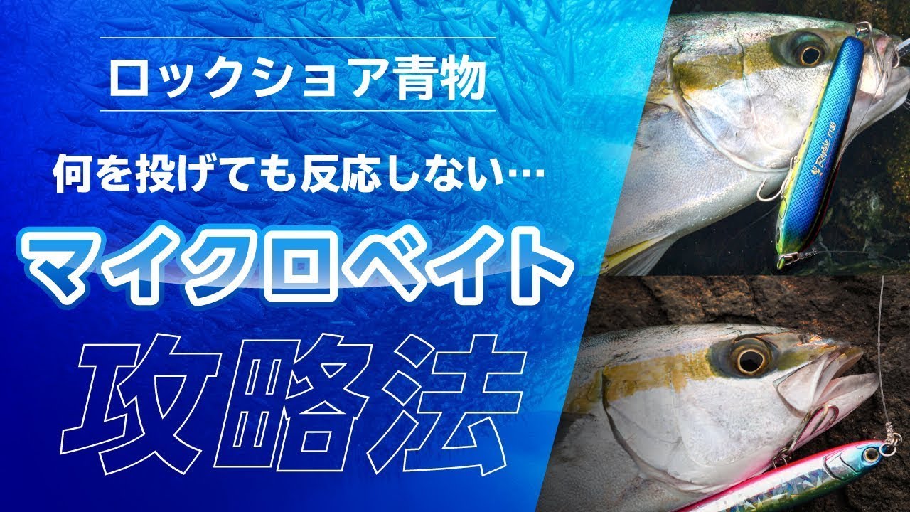 【ロックショア×小型青物プラグ】～マイクロベイト攻略～