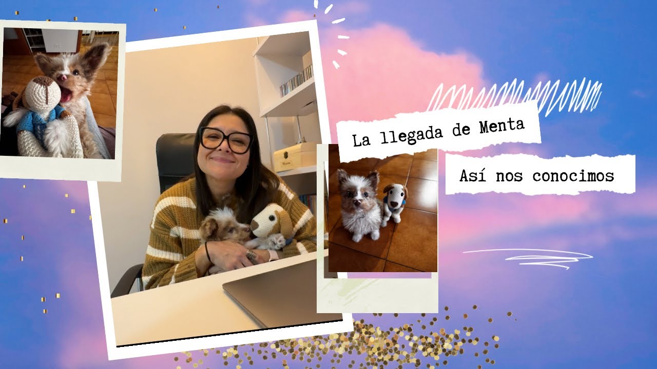 La llegada de Menta: Así nos conocimos 🌈✨