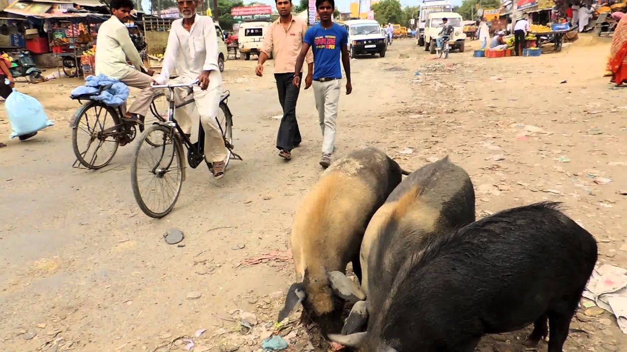 SILVIO VISITA CIDADE DA ÍNDIA MUITO SUJA