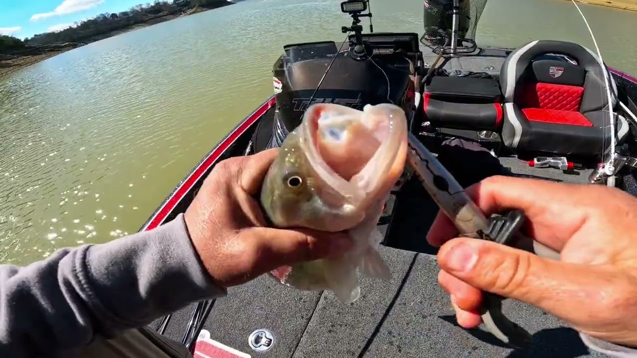 Douglas lake Bass fishing. February 27th  water temp 41-47