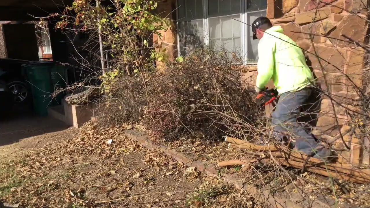 This flowerbed was full of junk trees and dead plants. Total removal of all the junk to start fresh