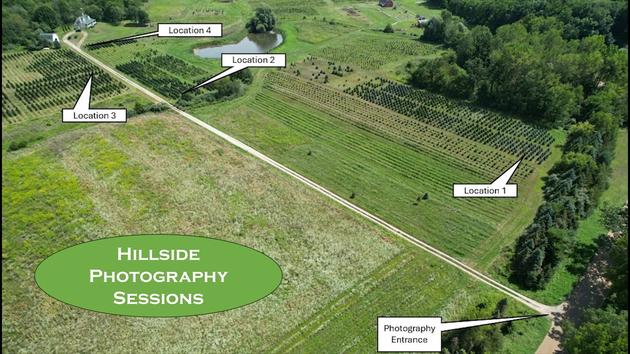 Hosting Photographers on Our Christmas Tree Farm | Extra Income & Marketing Benefits