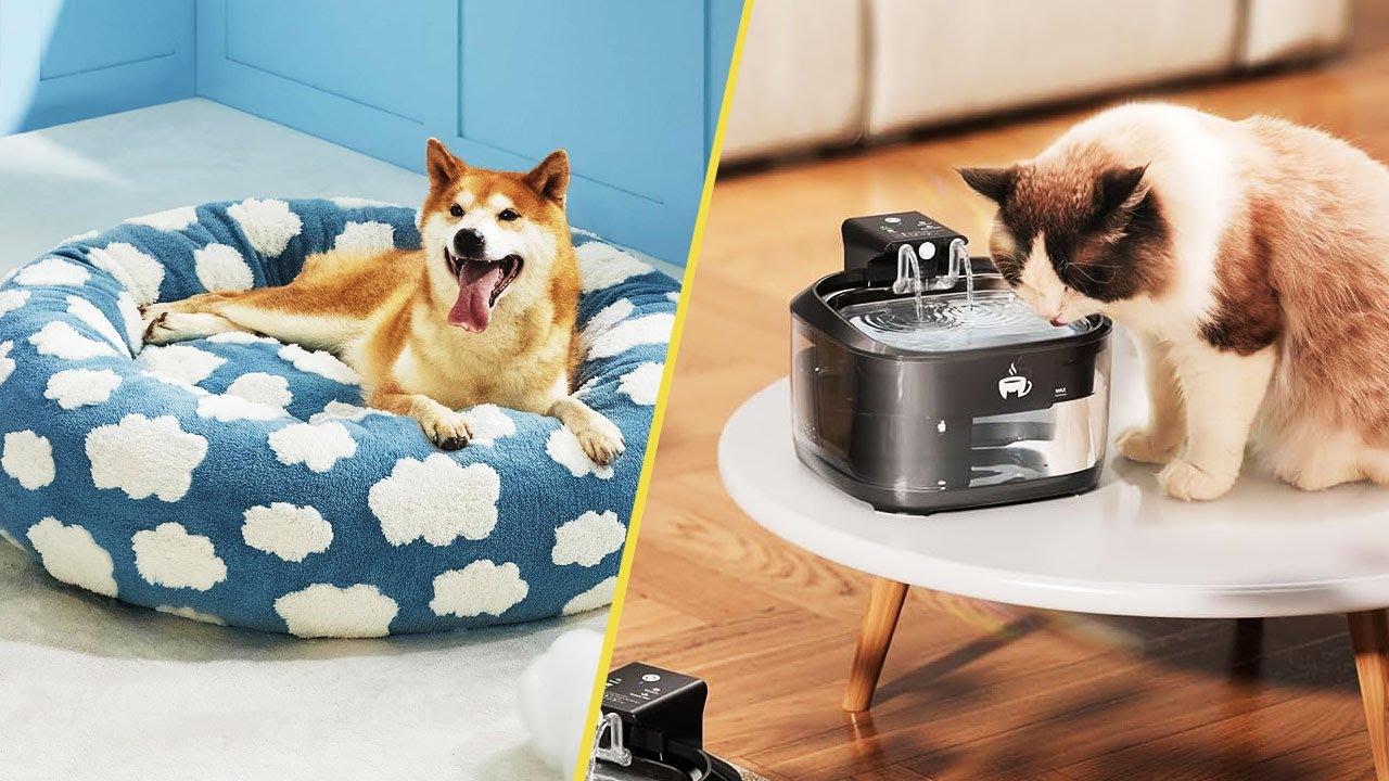 18 Amazing Gadgets to Make Life Easier and More Fun for Your Pets