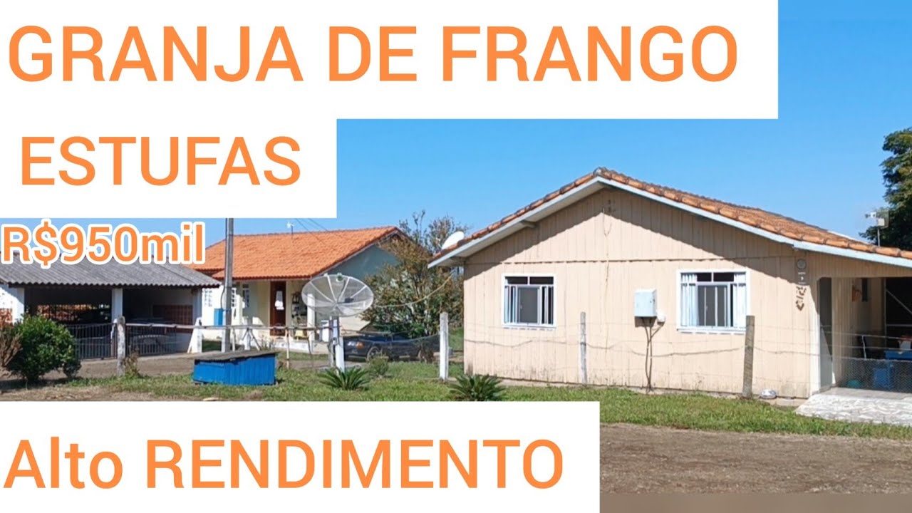 SÍTIO INCRÍVEL + GRANJA + ESTUFAS + DUAS CASAS ALTO RENDIMENTO R$950MIL JAPIRA -PR