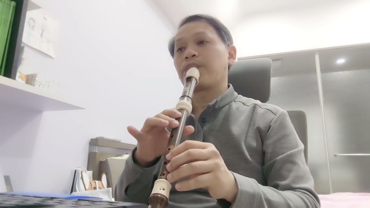 Love Story (alto recorder cover)
