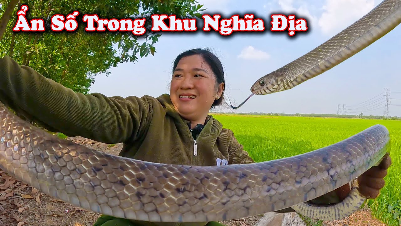 Săn Hàng Khủng Trong Khu Nghĩa Địa Huyền Bí Ít Ai Dám Tới # CSBR # 454