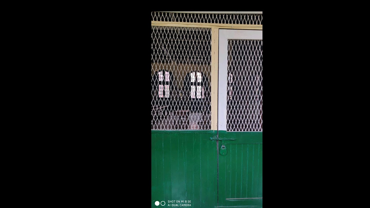 Mi 8 SE vs Nova 3i camera test
