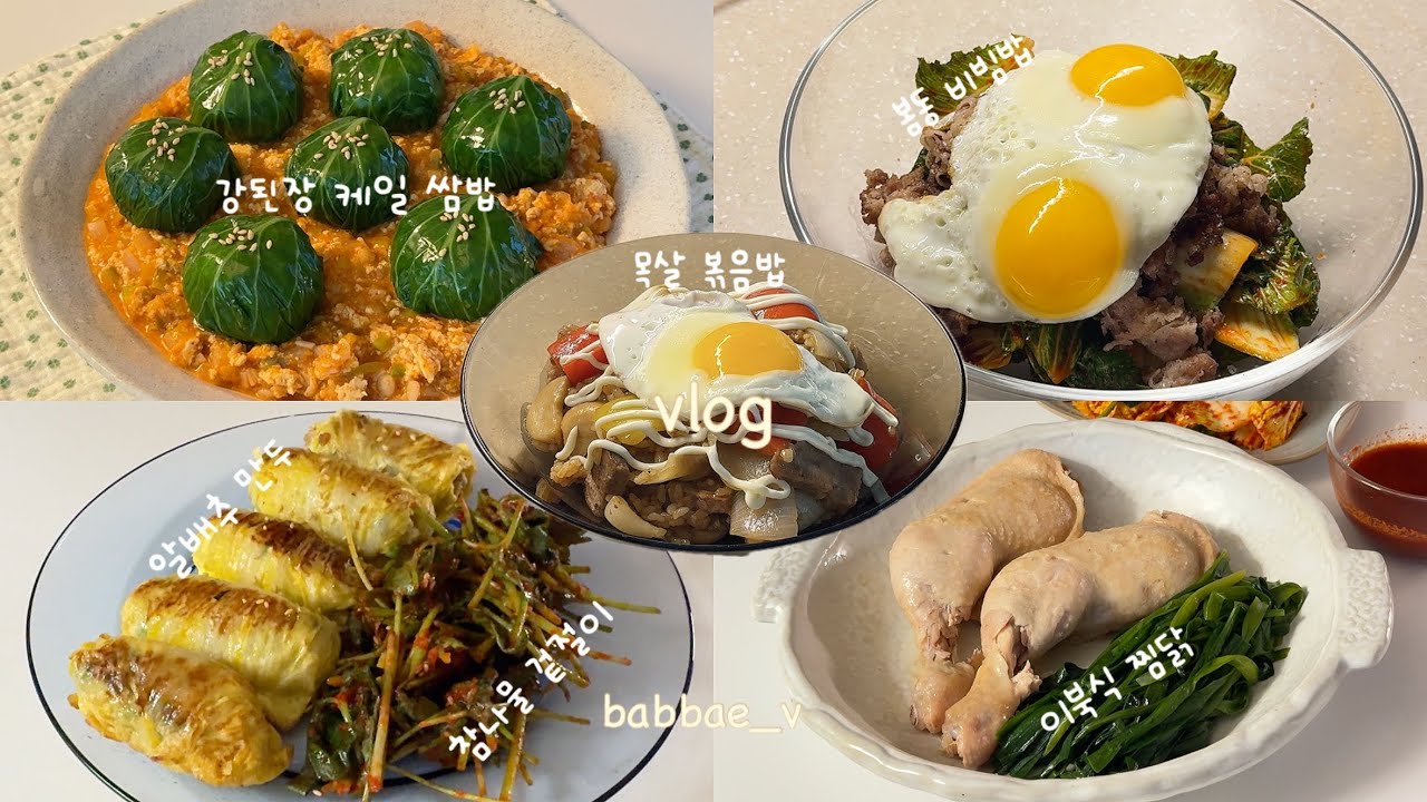 야무지게 먹은 집밥 브이로그🏠강된장 케일 쌈밥ㅣ🥬봄동 겉절이 비빔밥ㅣ청국장ㅣ알배추 만두🥟ㅣ참나물 겉절이ㅣ서가앤쿡 스타일 목살 볶음밥ㅣ이북식 찜닭🍗ㅣ알배추 겉절이