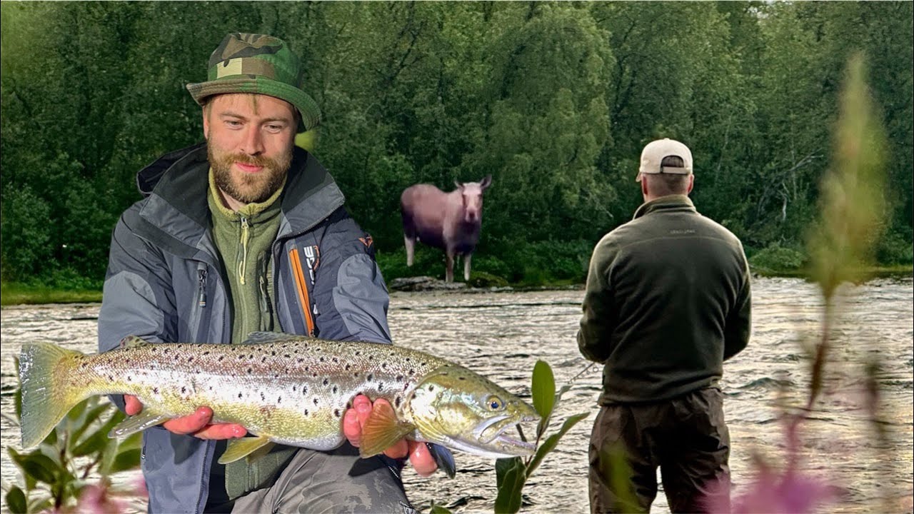 TAIMENEN KALASTUSTA RUOTSIN LAPISSA