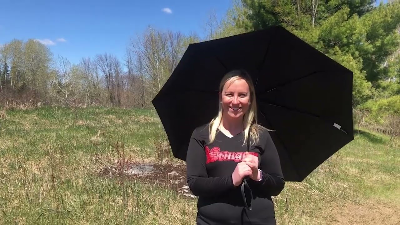 Stirling Public School: Welcome to Kindergarten