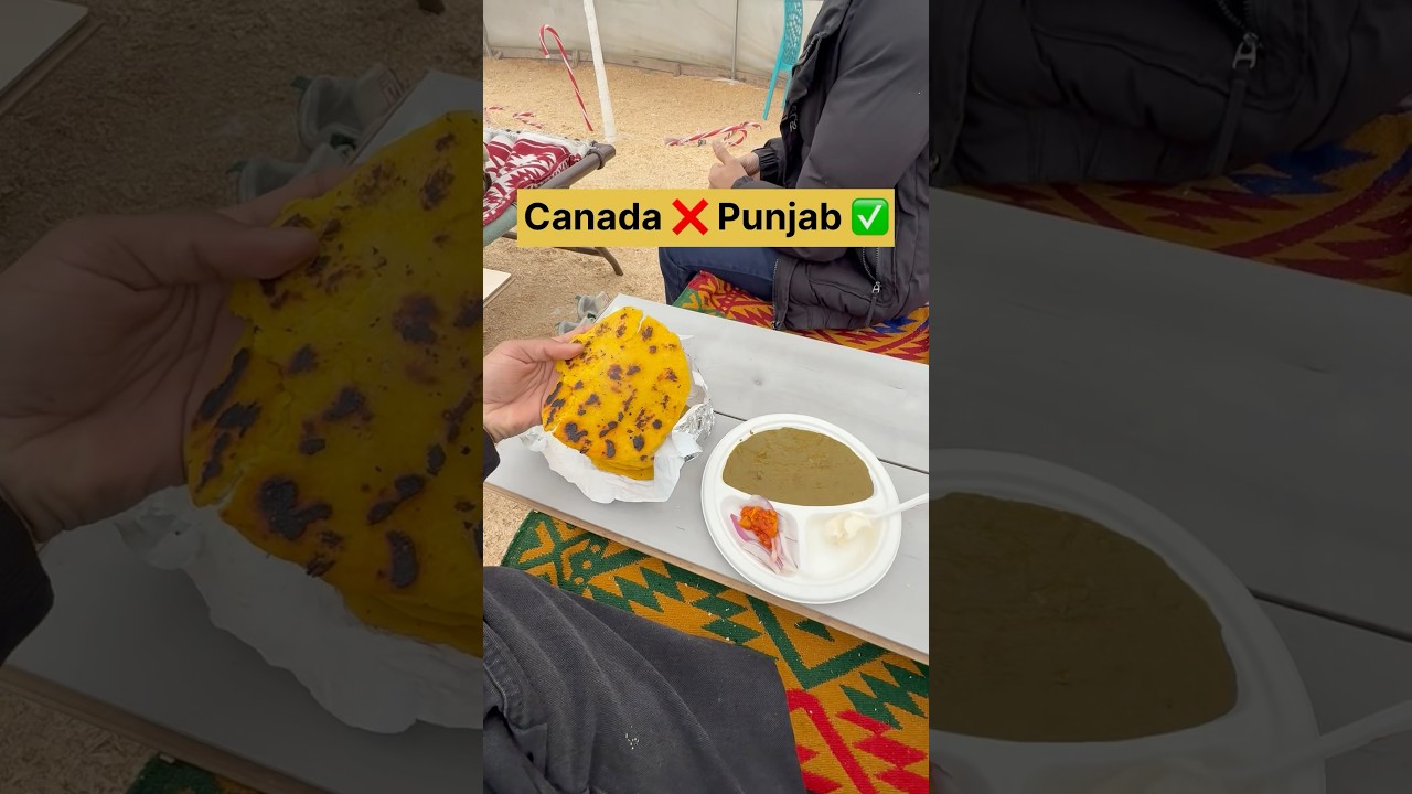 Brampton ❌ Punjab ✅ 