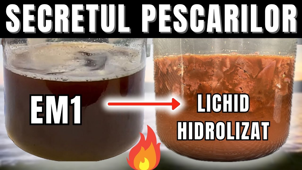 SECRETUL Lichidelor Hidrolizate. Fiecare PESCAR trebuie să știe asta!  Cum Prepari Serul EM1!