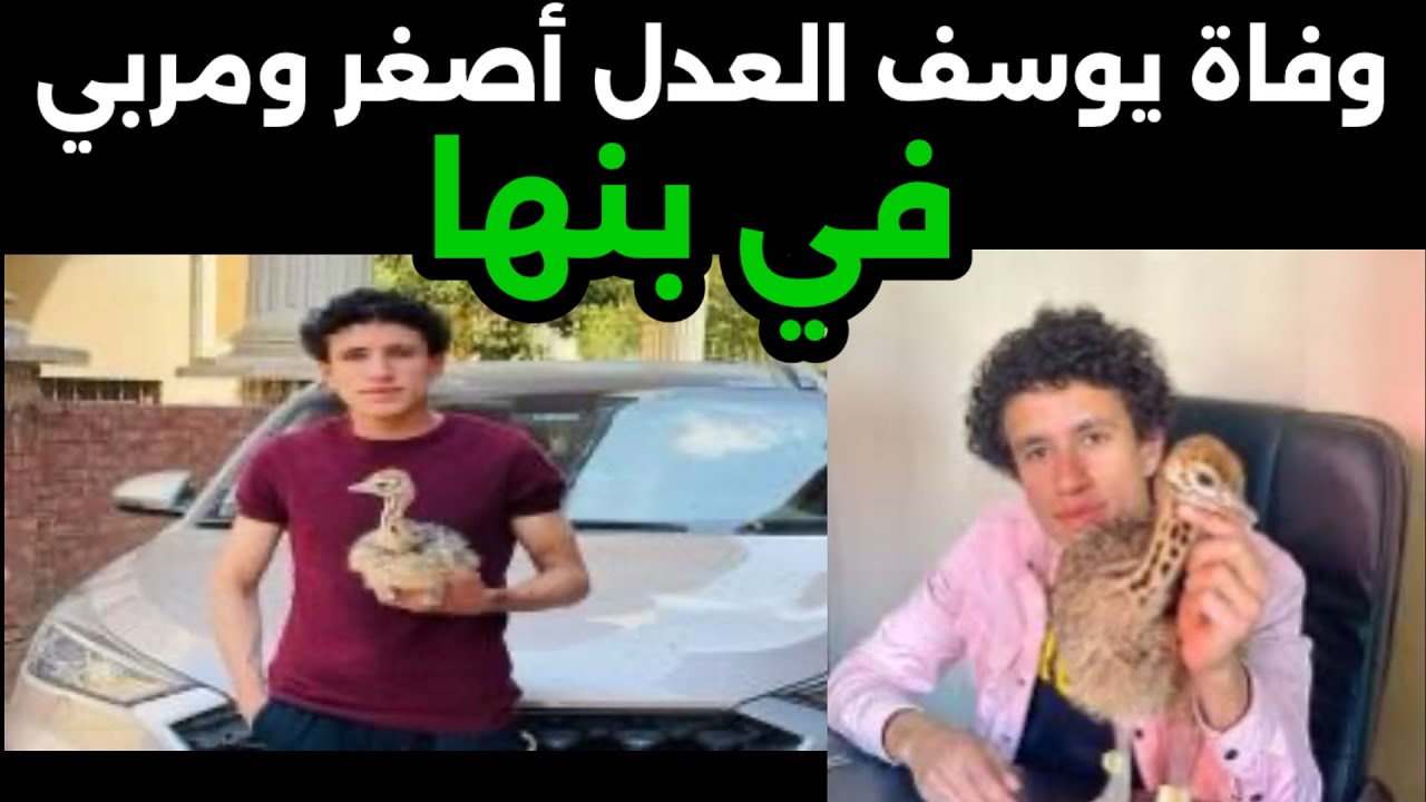 البقآء لله  #يوسف العدل اصغر رجل #أعمال في مصر لتربية إنعام ب بنها