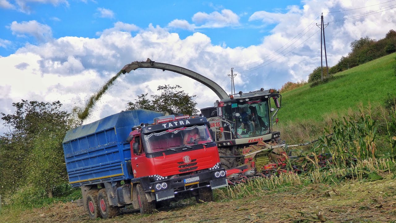 Силос 2023 🔥 Claas Jaguar 980 Maize уничтожен медведями 2x Case IH, Tatra и New Holland 🌽