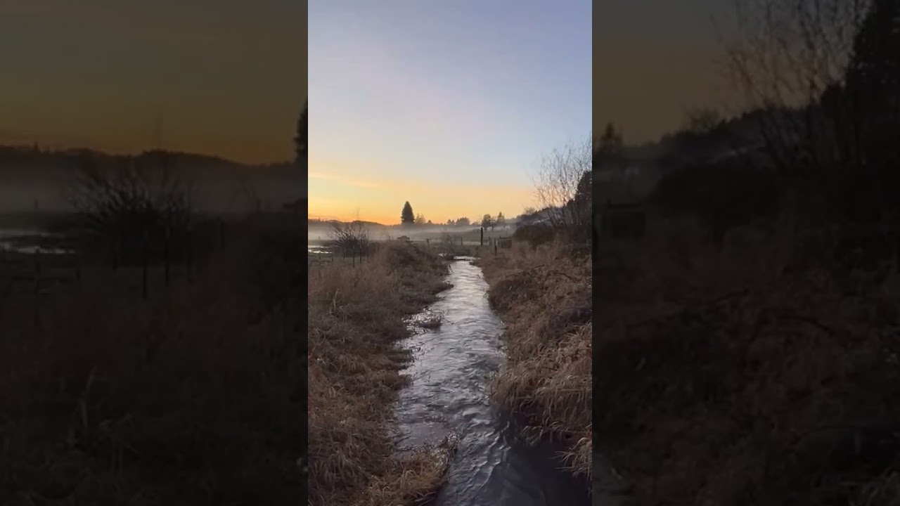 20 Seconds of Relaxation          #relaxing #farming #homestead #farmlife
