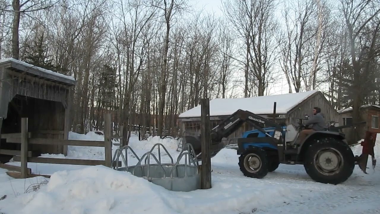First Youtube Video Clearing Cow Pen