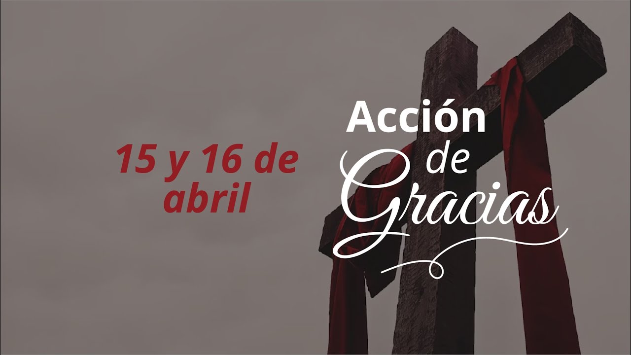 Reflexión Acción de Gracias // Pastor Patricio Curinao