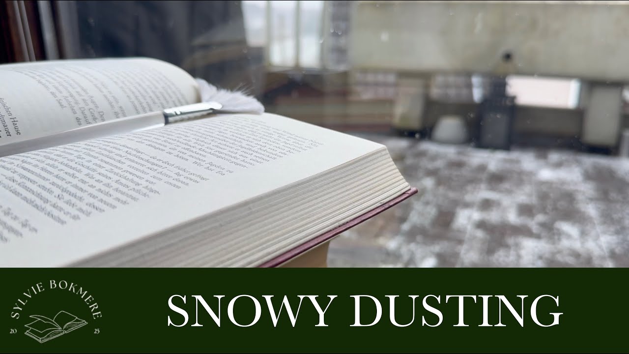 Inherited Library: ❄️Snowy Cleaning My Grandpas Old Books - No Talking ASMR Paper Sounds Open Window
