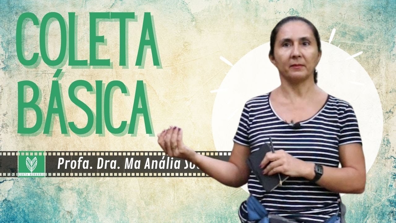 Coleta vegetal - BÁSICA [05 - CURTA HERBÁRIO]