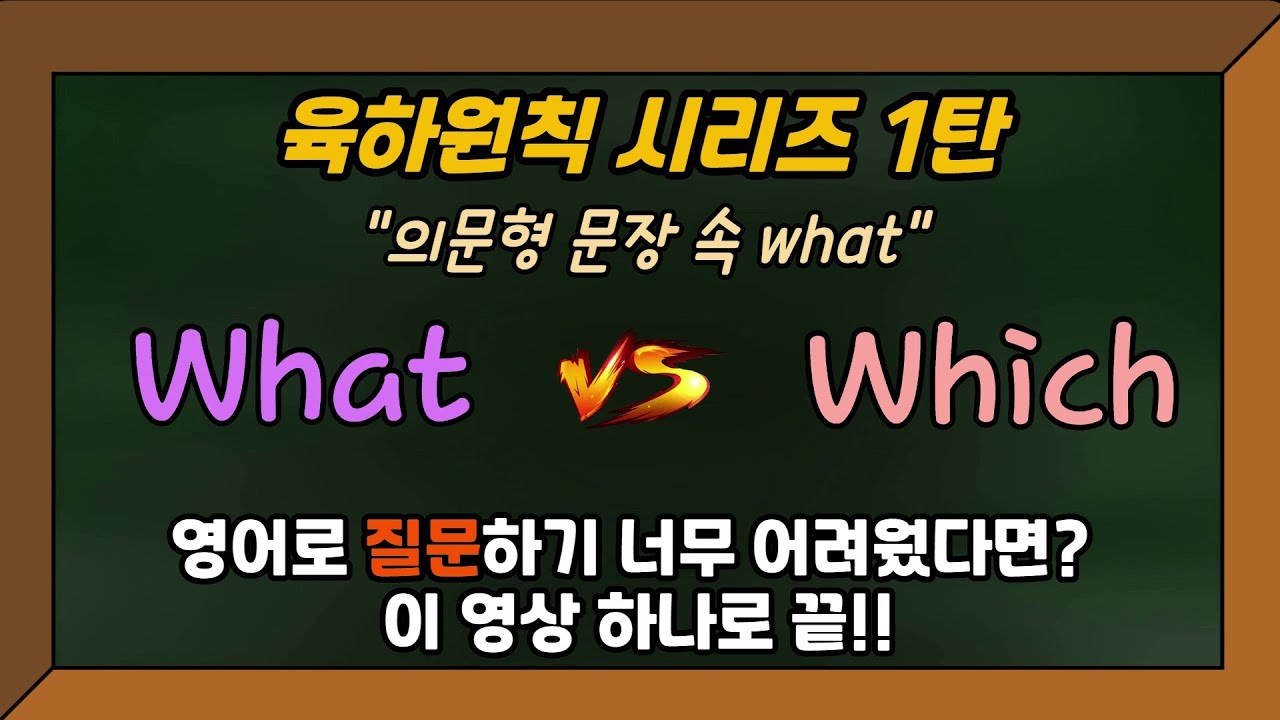 육하원칙 시리즈 1탄!! 의문문 문장에서 사용되는 의문사 'what' 그리고 which 와의 구분 방법! #쉬운영어 #의문문 #의문사 #what