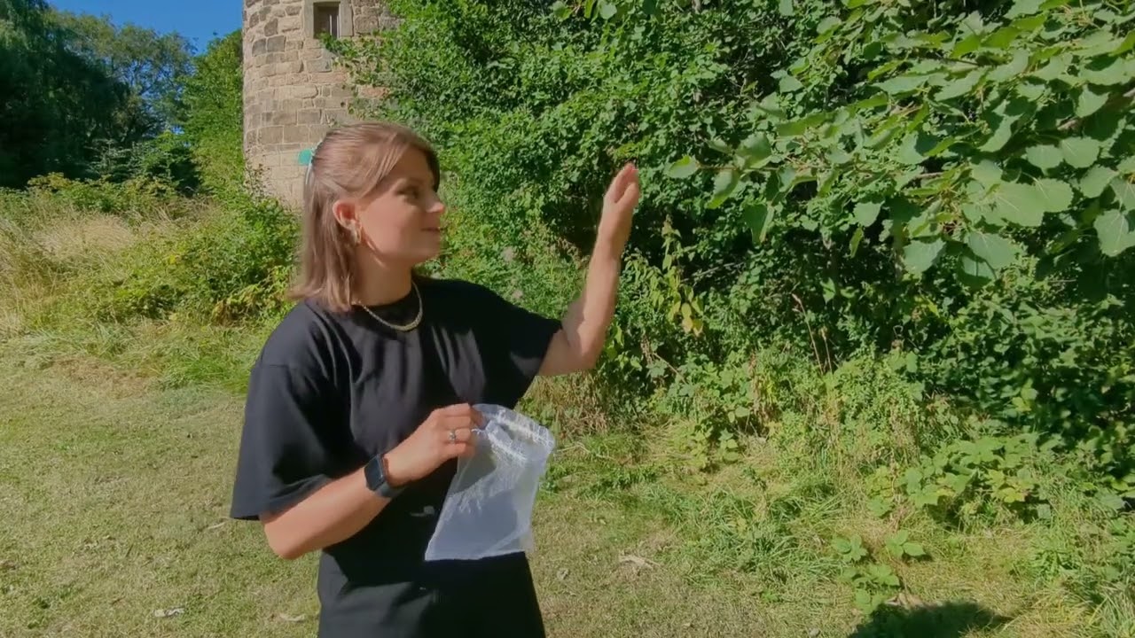 Nectar sampling in Newcastle city parks