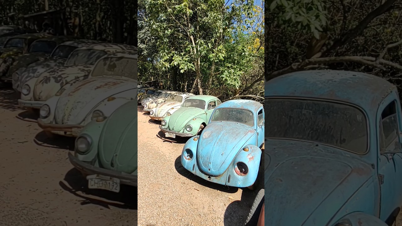 OLHA TODOS À VENDA FUSCAS E PEÇAS CARROS ANTIGOS SALVA FUSCA PIRACAIA 