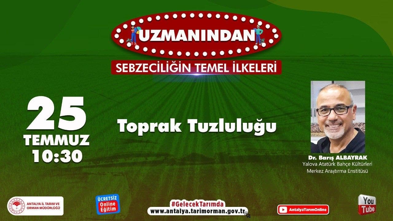 Toprak Tuzluluğu