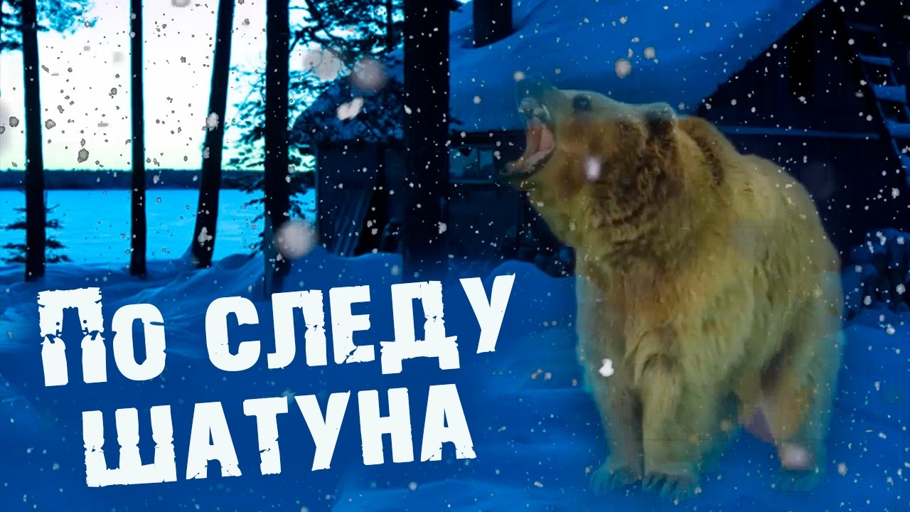🐻МЕДВЕДЬ-ШАТУН разворотил зимовье  🐻 Иду по следу /