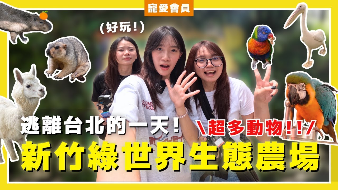 逃離台北的一天！近距離接觸動物！新竹綠世界竟然有恐龍！【寵愛會員 EP.7】｜WhatFur什麼毛