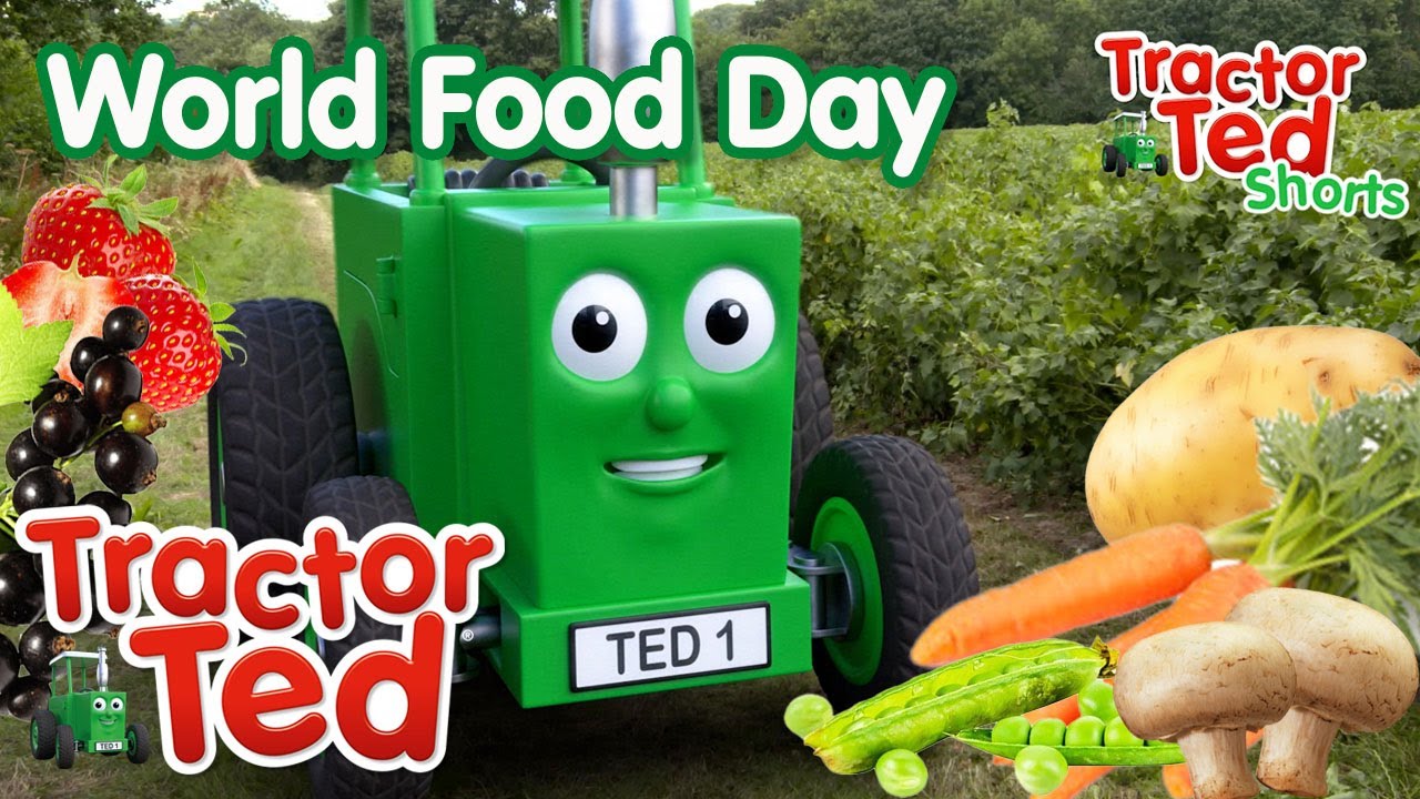 Food On The Farm | Tractor Ted World Food Day  🥔🍎🍓🥕 | Tractor Ted Official Channel #WorldFoodDay