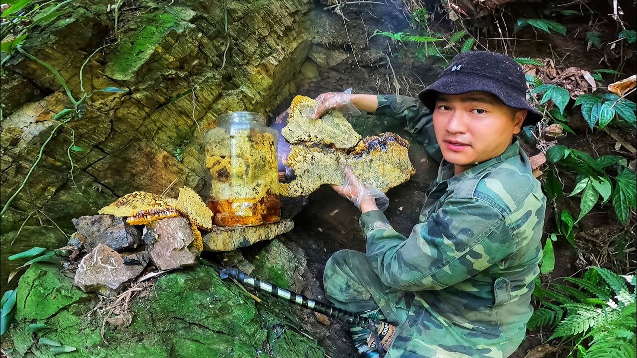 Nge Tiếng Ong Ù ù Trên Vách Đá. Là Biết Ngay Hàng Khủng / Ong Rừng Đông Bắc.