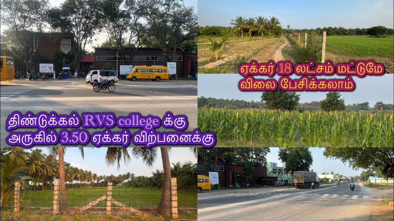 6379170190 திண்டுக்கல் RVS college க்கு அருகில் 3.50 ஏக்கர் விவசாய நிலம் விற்பனைக்கு#agriculture 
