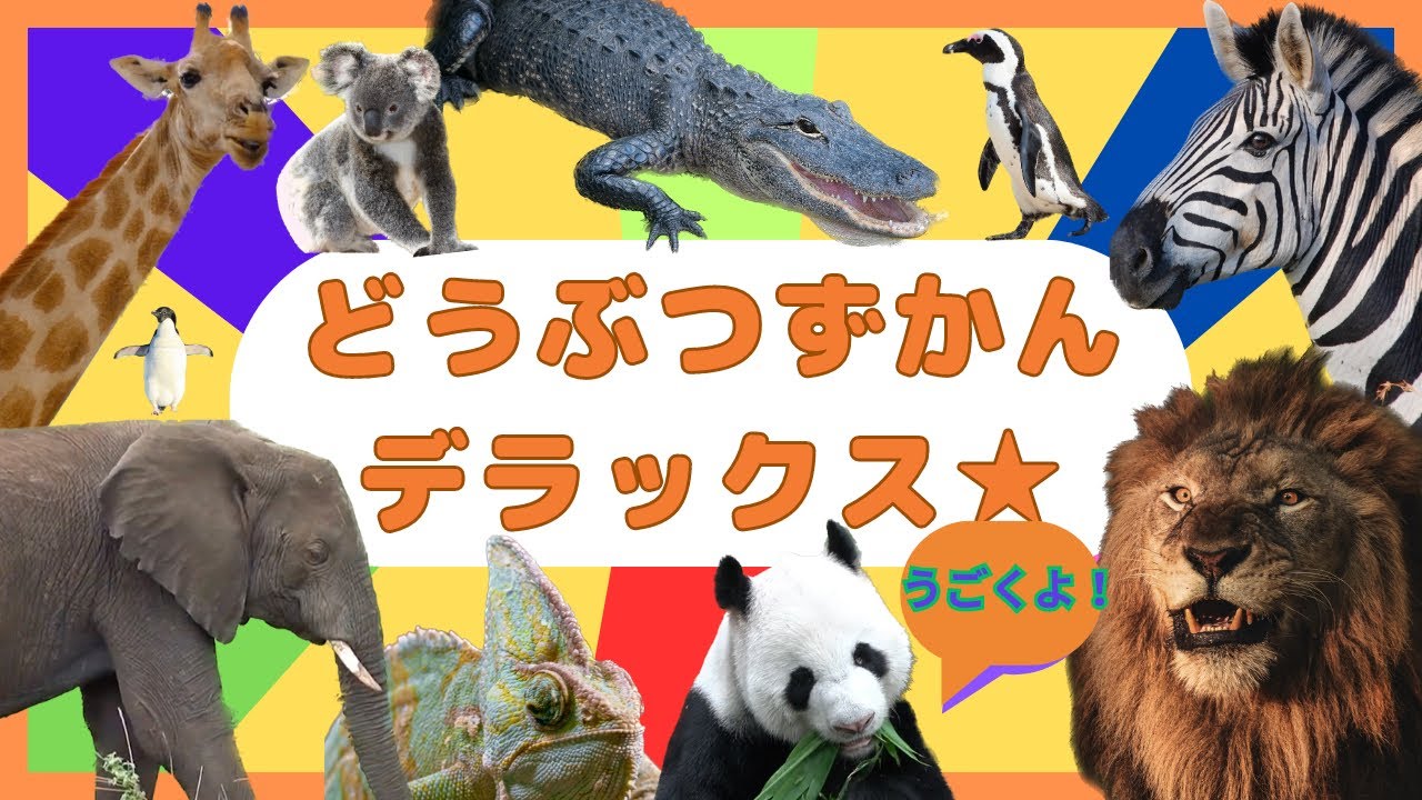 【どうぶつ図鑑】うごく！たくさんの動物が出てくるよ！