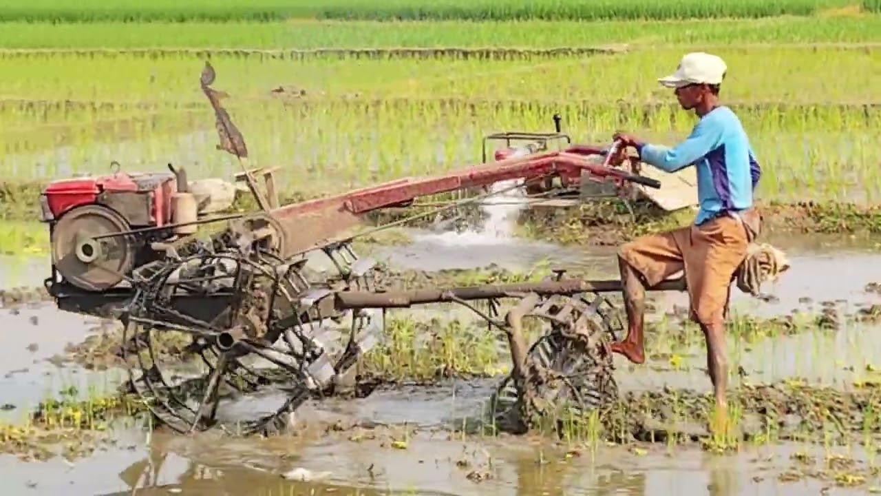 TRAKTOR SAWAH CUNGKRING MAIN GLEBEK SAMBIL DUDUK LALU BERDIRI HAND TRACTOR