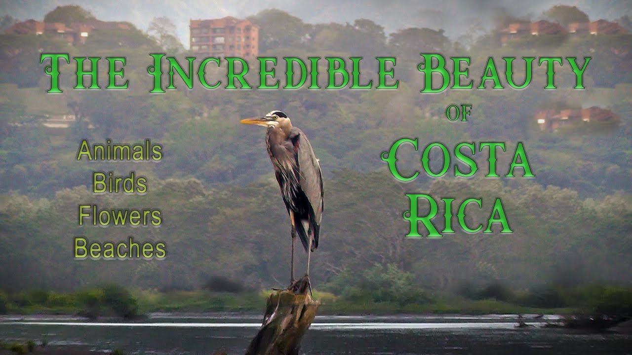The Beauty of Costa Rica