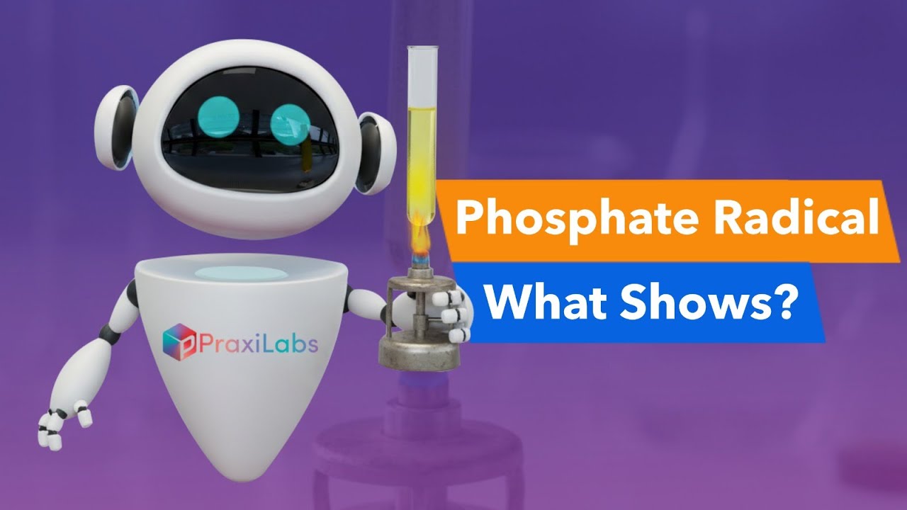 Test for Phosphate Radical Simulation - Walkthrough Video