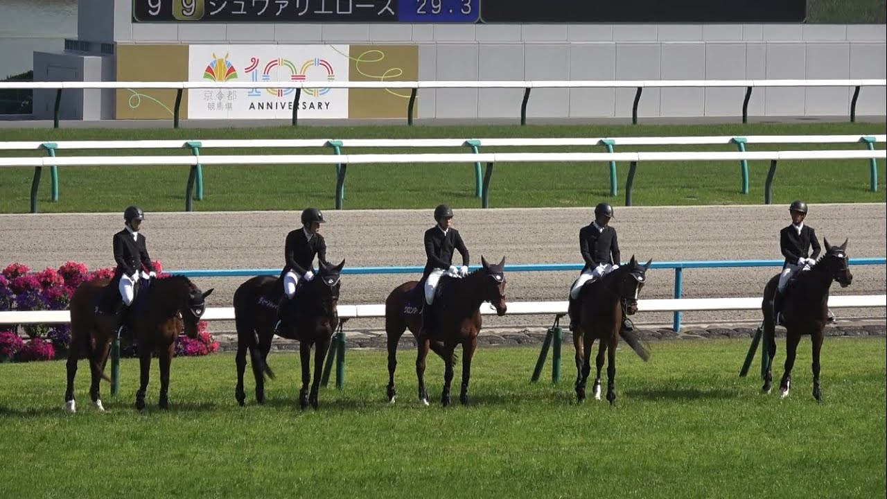 【現地 本馬場入場】2025 G1 天皇賞(春) ザ・チャンピオン 【京都競馬場 ディープボンドは４年連続の天皇賞春出現】