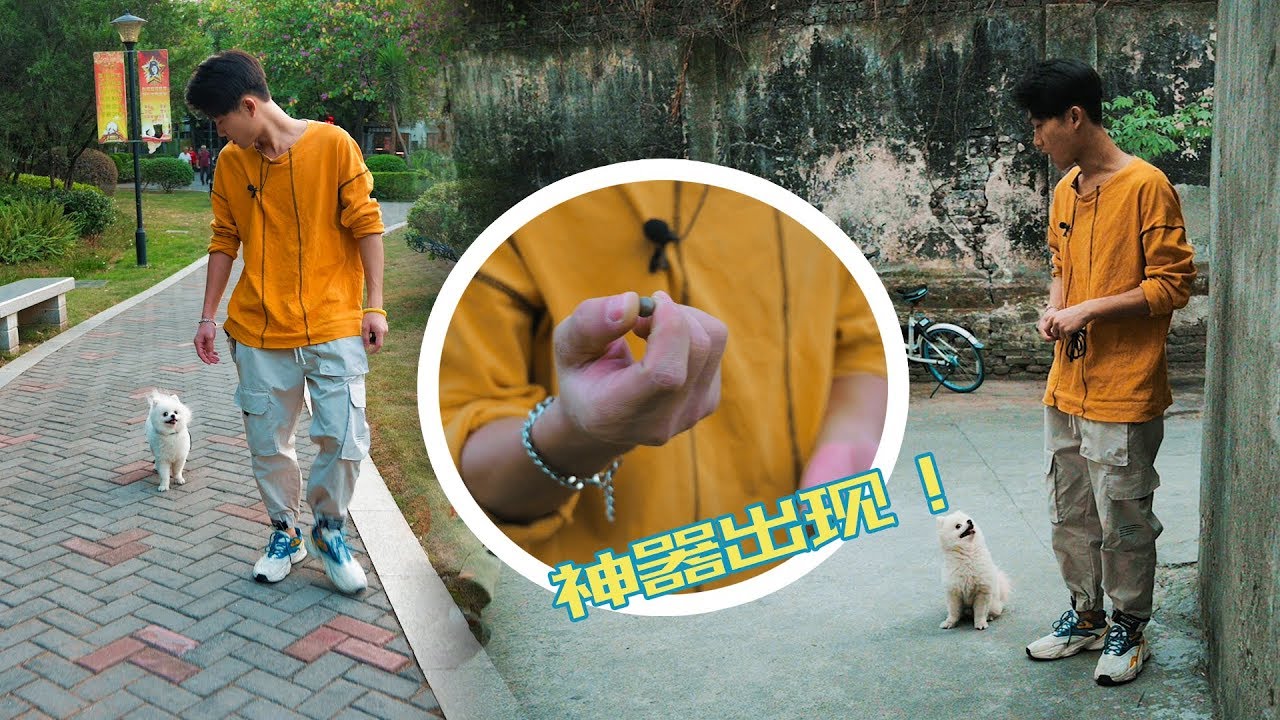 【问题狗狗大改造】狗狗叫不回！？小泥丸神器出场！