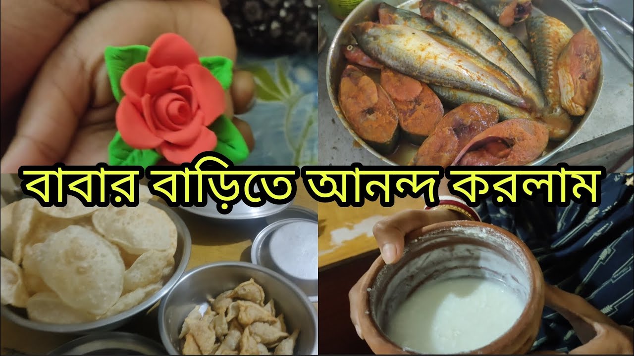 বাবার বাড়িতে খেতে খেতে পেট ফেটে যাবে মনে হয় 😊 | #sutrishna_ari #vlog #viral #vlogs #vlogvideo 