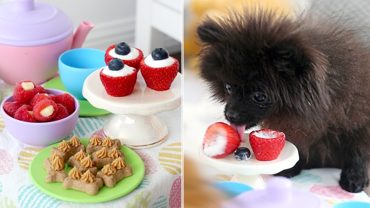 Tea Party for PUPPIES!! | Tea Party Recipes FOR DOGS | DIY EASY Dog Treats