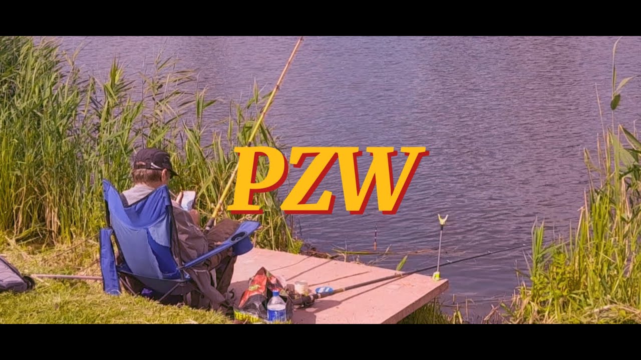DMD - PZW (official fishing anthem)