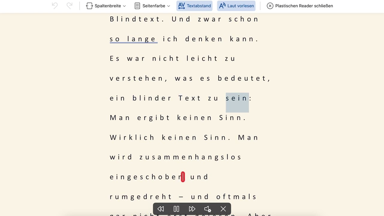 Word Plastischer Reader