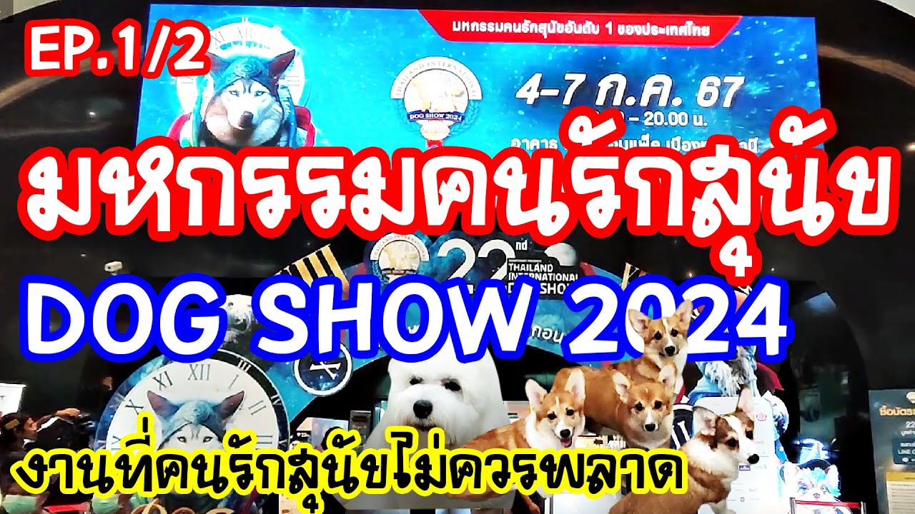 งานมหกรรมคนรักสุนัข Dog Show วันที่ 4-7 ก.ค. 67  Hall 5-6 อิมแพ็ค เมืองทอง EP.1/2  I Anywhere may go