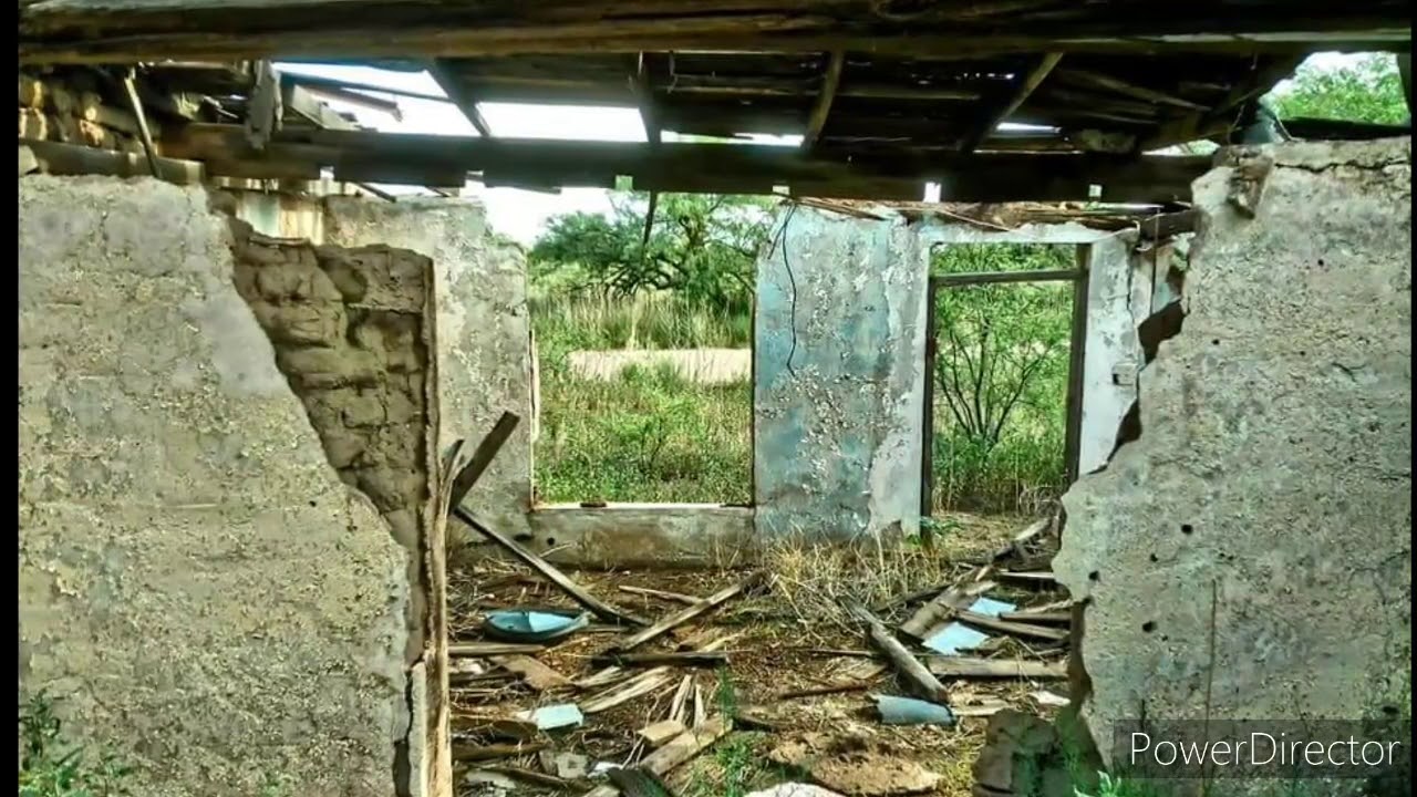 Amado AZ, 2020