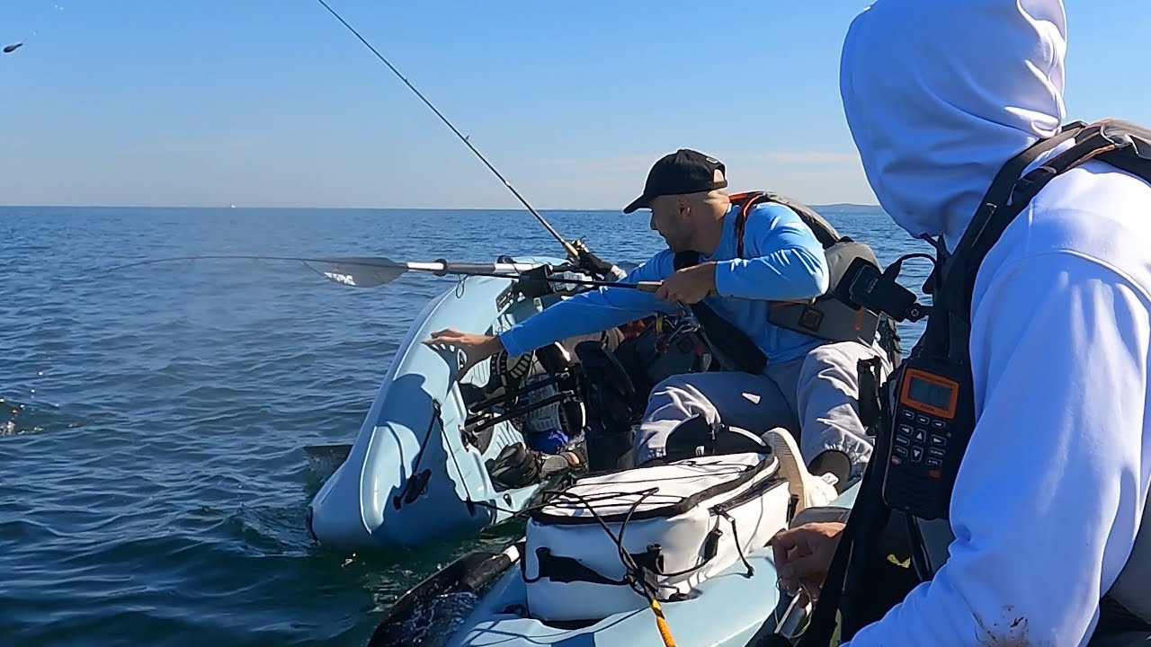 Fall bottom fishing at its best!  Then kayak fishing at its worst! Long Island Sound seabass/tautog