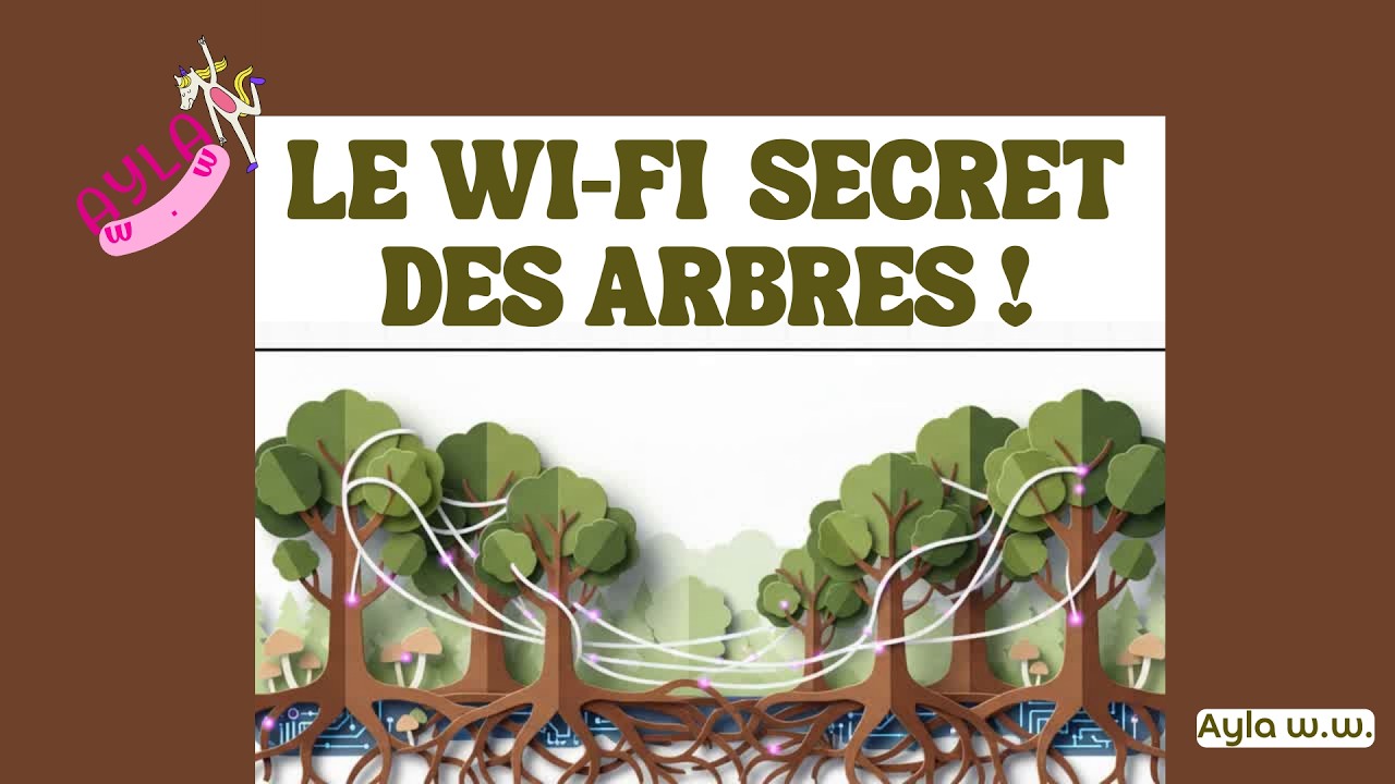 Ce qui se passe SOUS vos pieds est incroyable ! 😱🌲