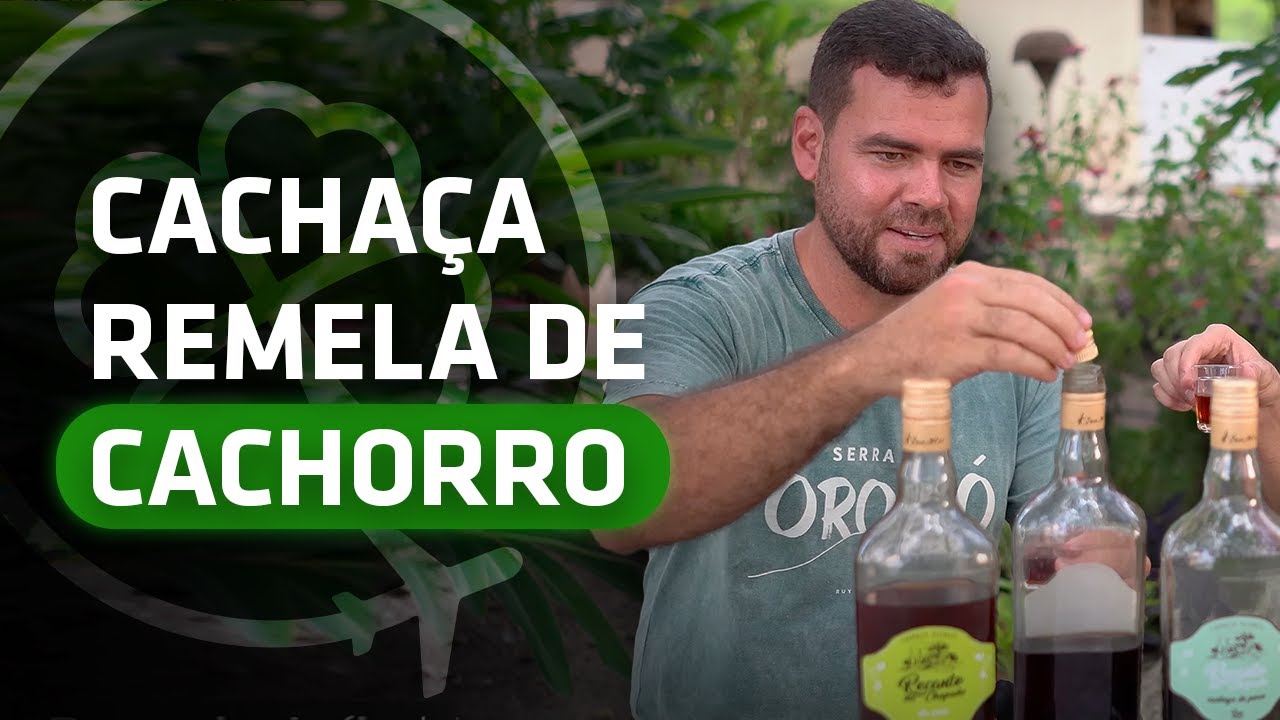 Vida na roça e cachaças artesanais no sertão da Bahia - Ruy Barbosa/BA - EP. 03 de 06