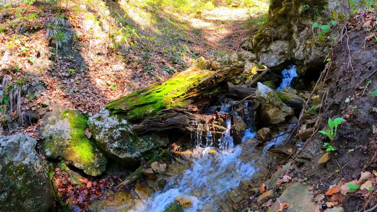 10 Hours of Peaceful River Water – Relaxing Nature ASMR for Sleep #asmr #sleepsounds #asmrsounds